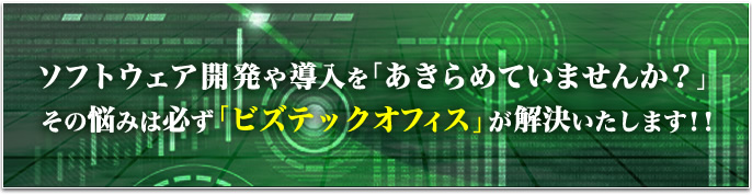 ソフトウェア開発や導入をあきらめていませんか？その悩みは必ず「ビズテックオフィス」が解決いたします！！